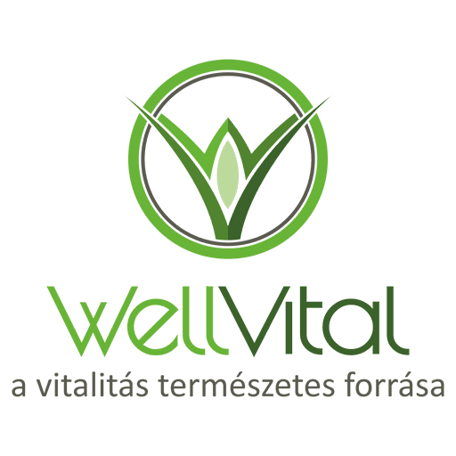 WellVital logo c 512 - WellVital