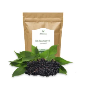 bodzabogyo esszencia 100g gyumolcskristaly wellvital - WellVital