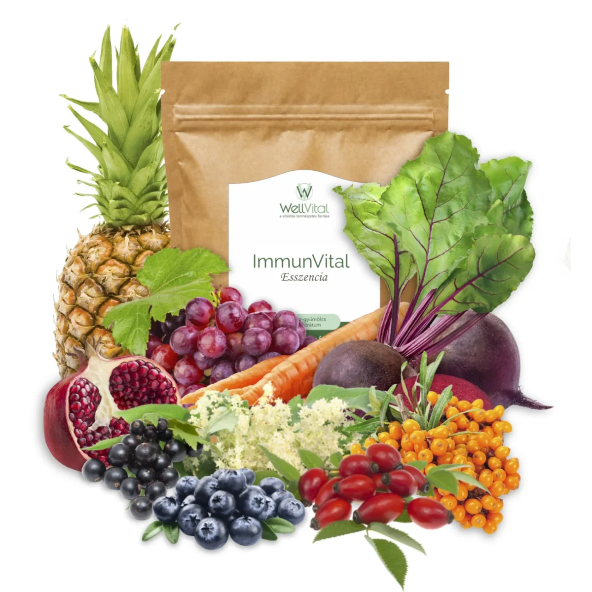 immunvital esszencia 200g shop - WellVital
