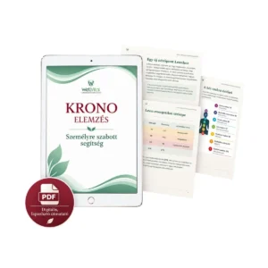 krono elemzes ipad oldalak shop - WellVital